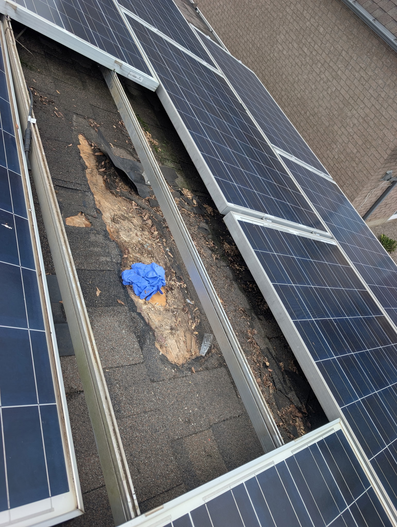 Storm Damage Roof Shingle Repair